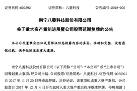 八菱科技发布继续停牌公告：江苏赛麟为上市融资做准备？图片