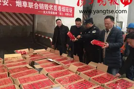 镇江集中销毁百万假烟 2300余条假中华瞬间化为600多度电图片