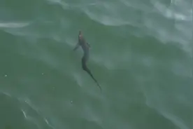 “双目所及均是行走佳地”，衢州宣传部长巧解“衢”字，借喻当地正在打造浙江“大花园”图片