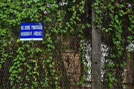 中国撤销深圳特区管理线释放全面开放信号图片