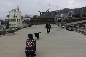 爱犬接二连三被偷 民警及时追回图片