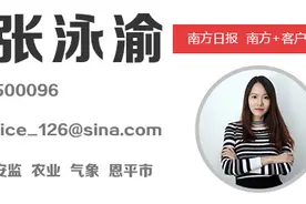 增长66.59%！2017年江门出口龟苓膏产品超982吨图片