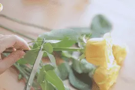 枯萎的鲜花不要扔，这样做简直美翻了图片
