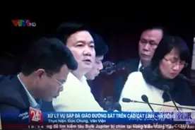 越共原中央政治局委员丁罗升被捕，犯了什么事儿？图片
