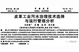 含铬废水处理新工艺——《中国皮革》铬鞣废水处理技术专题图片
