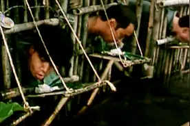 越南的监狱直接是水里面，小伙关起来比狗都不如