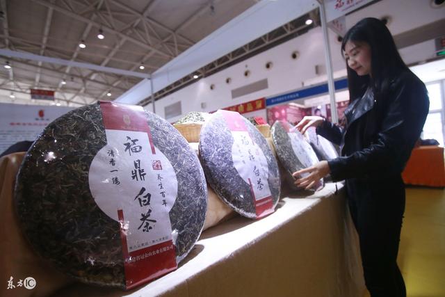 九龙营养课堂：白茶怎么选？富含高氨基酸？安吉和福鼎白茶区别？