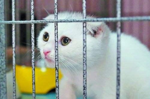 一旦出-现这几种预兆不-要慌，实时应付便可化险为夷！