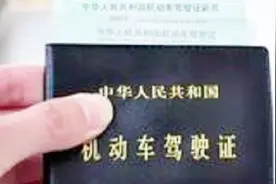 厉害了，美国驾照敢在中国开车还指责交警，这哥们被拘真心不冤视频封面