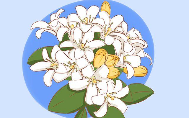 过年不知道该给怀孕的人送什么礼物?我给你几条实用的建议