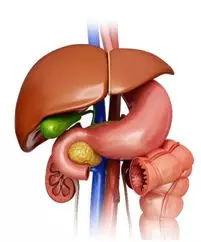 肝病全营养配方食品设计思路