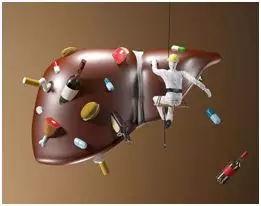 肝病全营养配方食品设计思路