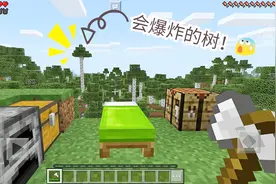 我的世界 会爆炸的白桦树！熊孩子呆呆再栽跟头