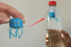 会听话的章鱼，可以自由控制章鱼游动，这机关你们谁也想不到视频封面