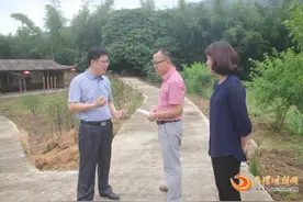 郁南县领导陈枢到南江口镇调研指导旅游工作图片