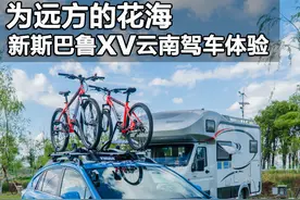 为远方的花海 新斯巴鲁XV云南驾车体验图片