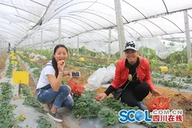 吃喝玩乐特色游 “五·一”小长假宜宾耍头多图片