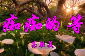 高胜美一首怀旧老歌《痴痴的等》伤感至极！视频封面