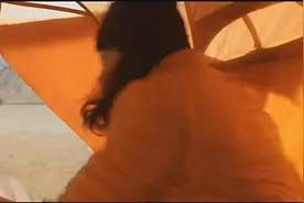 在西藏无人区骑行的杨，遇到的狼的攻击 没想到最后是熊救了他