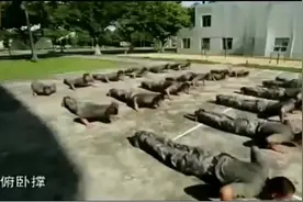 特种兵的选拔要求，我只达到到了一个条件，这也太难了吧视频封面