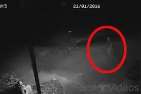 如果你不相信鬼的存在，深夜监控拍到的真实鬼魂怎么解释？