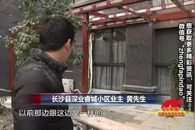 闹心！小区绿化变私家花园，多业主跟风违建，物业要求停工无效视频封面