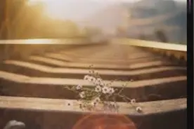 《心愿》20多年前，四位女高中生无意间创作的民谣却成为经典！