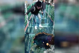 堂堂七尺男儿，居然也被这玻璃栈道吓跪啦！围观游客们都笑尿啦！视频封面