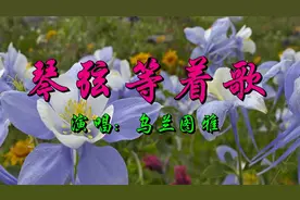 乌兰图雅一首《琴弦等着歌》好听至极