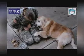 分别多年的女主人归来，老金毛的反应让所有人热泪盈眶！图片