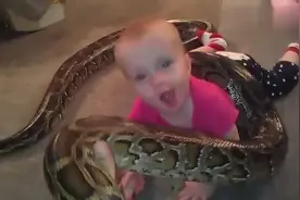 实拍_胆大小孩玩蛇过程，真是让人心惊胆战！视频封面