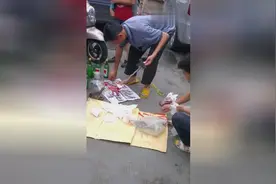 手机实拍现场杀蛇取胆泡酒