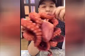 直播吃完整的一个大章鱼，原来章鱼是这么吃的图片