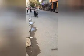 这种直接可以马路行驶的遥控小汽车你玩过么？行人都吓一跳啊图片