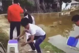 小哥恶作剧抽别人凳子，结果万万没想到！哈哈哈哈哈哈哈哈哈图片