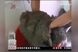 实拍：男子池塘中挖出一团“肉”水中存放6年，疑似太岁图片