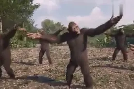 野外猩猩嗨DJ舞曲夜色图片