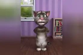 汤姆猫动情讲述坐大席悲惨遭遇，笑的我眼泪都下来了图片