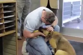 狗狗失踪7个月后与主人相认的场面，眼泪都流出来了，好感人视频封面