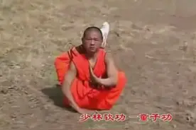 他比一龙更懂少林！深谙各种绝技，内外、软硬兼修图片