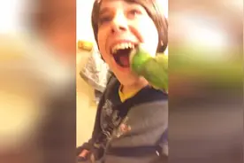 鹦鹉帮小主人拔乳牙，竟然还真的拔出来了图片