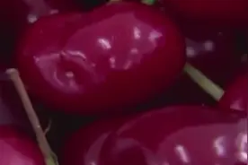 樱桃竟能吃中毒 5颗就能要人命？