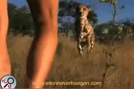 国外女人与狮子花豹共处  没有一点点恐惧  现实版美女与野兽图片