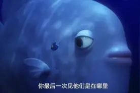 海底总动员 2：多莉去哪儿 记忆拉回十三年前图片