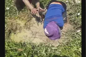 小伙泥地里抓黄鳝，费了好大劲才给掏出来，真不容易图片