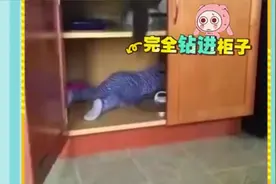 当小孩钻进柜子 时，猫咪居然把柜子门关上了视频封面