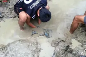 几名青年在小水坑里抓鱼，收获虽然不多，但玩得很开心！图片