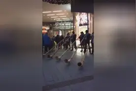 阿尔卑斯长角号瑞士人血液里流淌的音符！图片