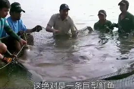 几名男子钓到175公斤魔鬼鱼！ 身长大约4米，这竟然是真的？图片