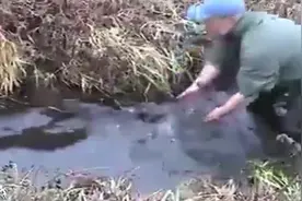 男子在河里摸索着，发现这样的小河竟然有这样意外的一幕！图片